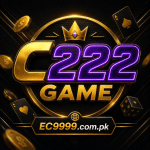 C222 game